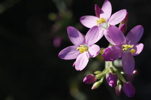 _MG_9491  Geotagged,Spain