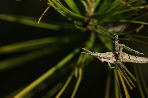 Ready to jump  Geotagged,Spain
