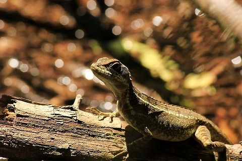 concurso_retrat  Costa Rica,Geotagged