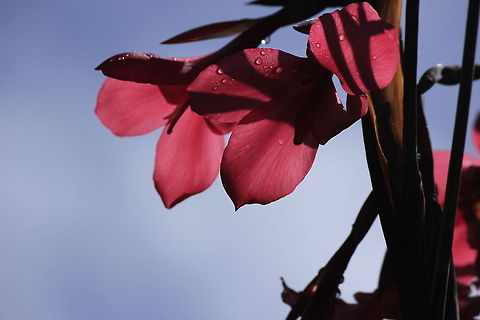 _MG_6451  Costa Rica,Geotagged