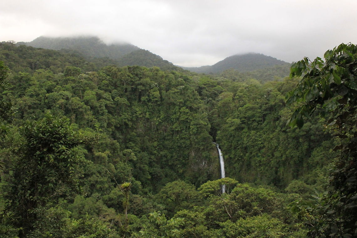 Waterfall in the jungle  Costa Rica,Geotagged,Waterfall,jungle