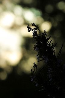 Lightpainting  Geotagged,Spain