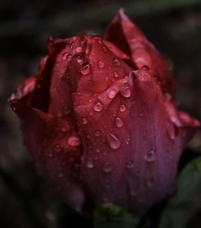 Rainy day