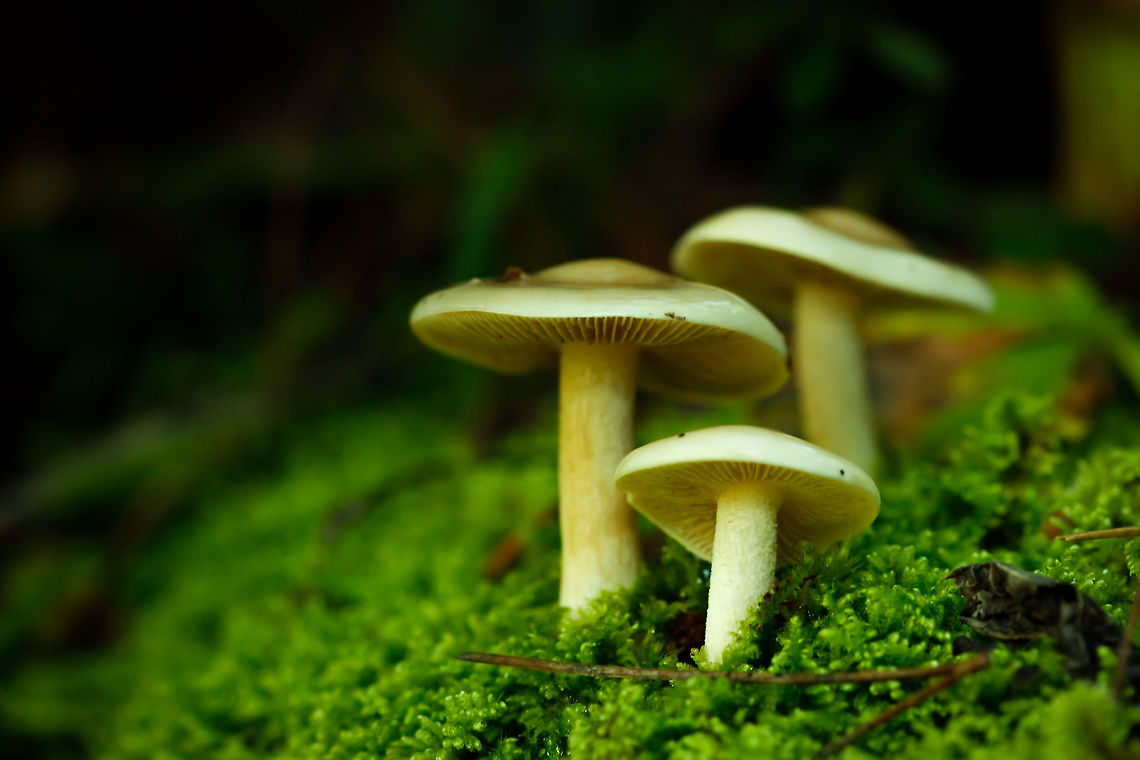 tres setas  Geotagged,Spain