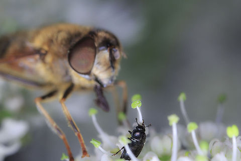 Bomb!  Geotagged,United Kingdom