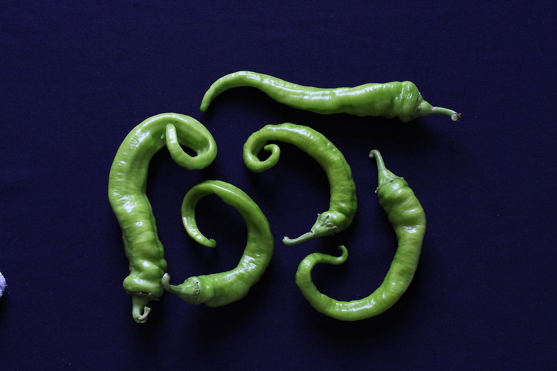 Goat horns These are known locally as goat horn peppers and are grown in abundance here in south Bulgaria. I would have liked to have photographed them on the plant but these were gifted to us and I wanted to share them here. Capsicum annuum,goathorn,green,peppers,plants,sweet