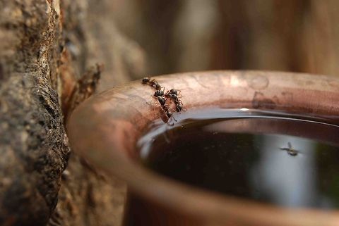 Life is water. Water is life. Quenching