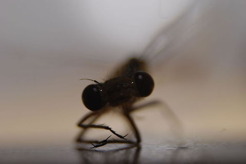 9286654260_612749c5ae_o