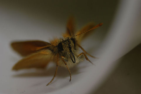 9286637164_af133d357e_k