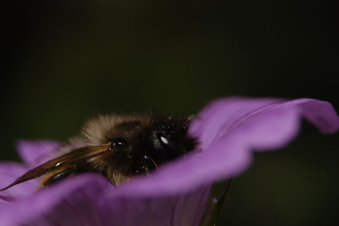 9286657322_13bb858a07_o(1)