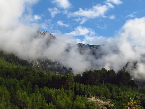 Mountains After the Rain I noticed these low clouds after it rained (I know it's summer, but it really rained...) and they gave a mysterious look to these mountains. Hope you like it! Geotagged,Mountains,Spain,rain