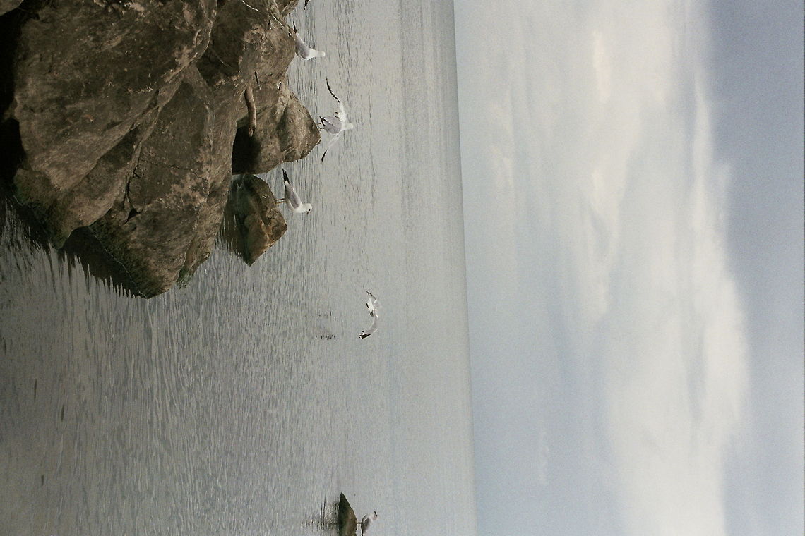 Myriam Sorry it's on its side.