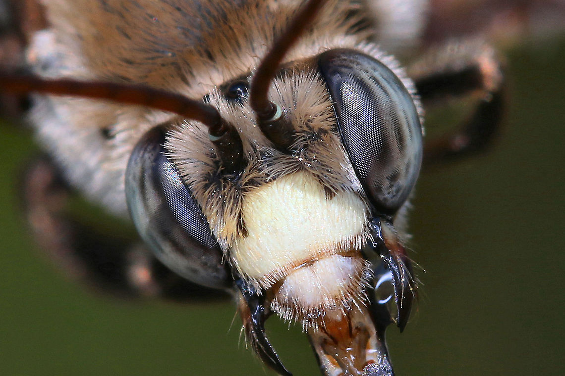 beeeyes  Geotagged,United States