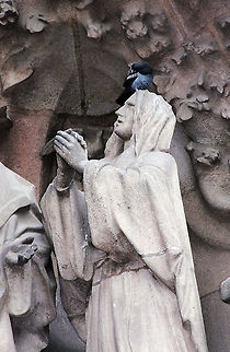 "Please don't" Pigeons will be pigeons at Basilica Familia Sagrada, Barcelona Barcelona,Columba livia domestica,Domestic Rock Pigeon,Geotagged,Spain