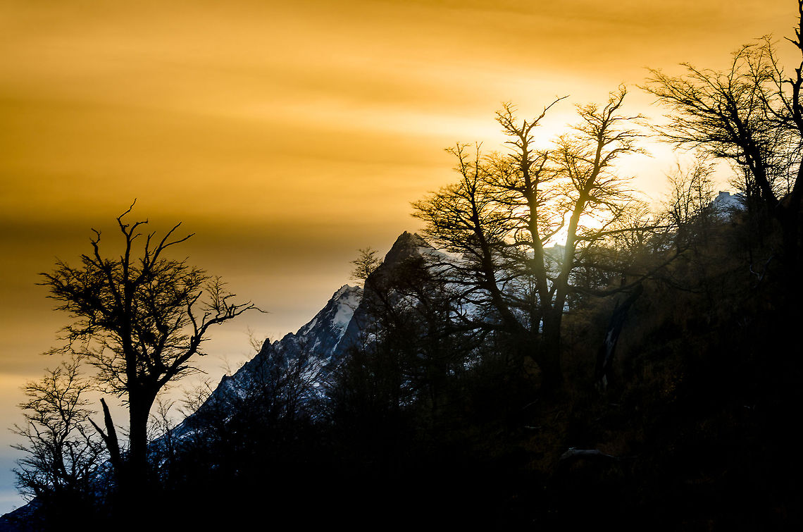 Atardecer_y_contraste a nice sunset view, with trees and it contrast with the orange sky and winter mountains Chile,Geotagged,contrast,landscape,location,patagonia,sunset,torres del paine,tourism,travel,trees,wallpaper