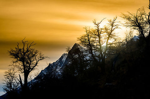 Atardecer_y_contraste a nice sunset view, with trees and it contrast with the orange sky and winter mountains Chile,Geotagged,contrast,landscape,location,patagonia,sunset,torres del paine,tourism,travel,trees,wallpaper