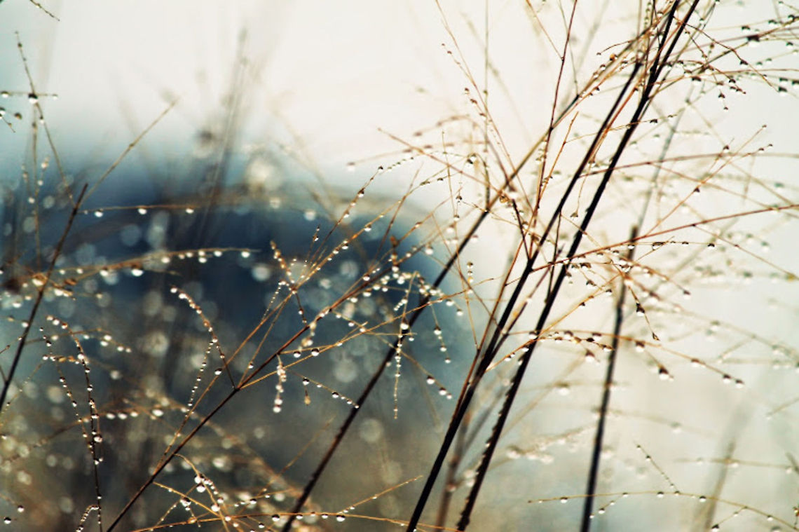 droplets