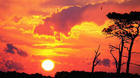 The_Sky_is_Falling  Geotagged,Sunset,United States