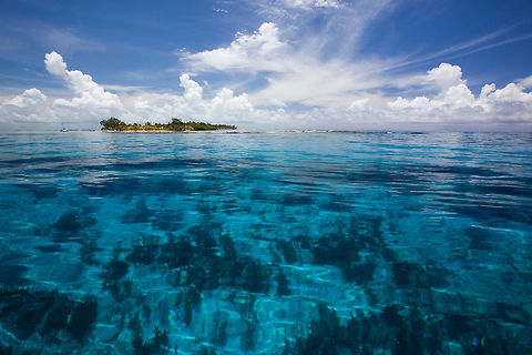 South Water Caye, Belize Coral reefs off of South Water Caye, Belize Belize,South Water Caye