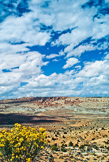Mesa Verde National Park Mesa Verde National Park Landscapes,Mesa Verde,National park,habitat