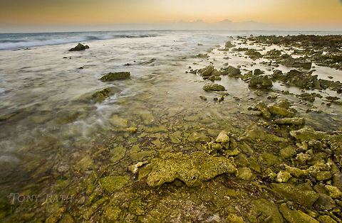 Belize Barrier Reef crest The crest of the Belize Barrier Reef Belize,Belize Barrier Reef,Landscapes