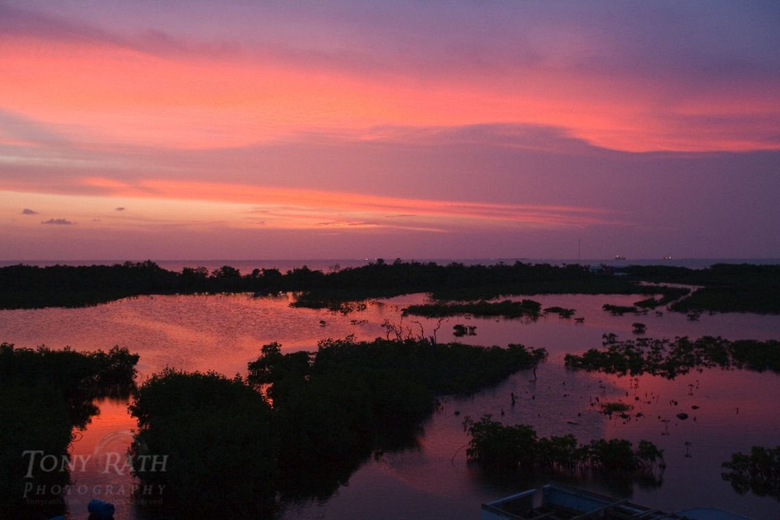 Mangrove Island habitat Mangrove Island Habitat, Belize Belize,Mangrove,Mangrove Island Habitat