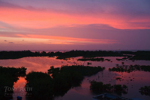 Mangrove Island habitat Mangrove Island Habitat, Belize Belize,Mangrove,Mangrove Island Habitat