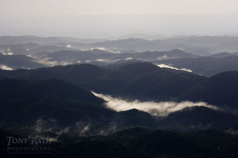 Chiquibul Forest Reserve Chiquibul Forest Reserve, Belize Chiquibul Forest Reserve,Landscapes,belize