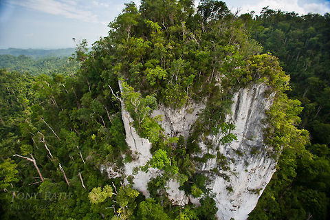 Limestone ridge Limestone Ridge, Maya Mountains, Belize Belize,Dangriga,Landscapes