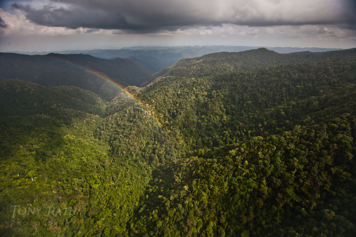 Rainbow over Maya Mountains Rainbow over Maya Mountains Belize,Dangriga,Mayas,Mountains,Rainbows