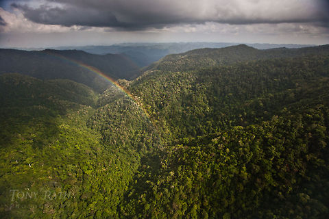 Rainbow over Maya Mountains Rainbow over Maya Mountains Belize,Dangriga,Mayas,Mountains,Rainbows