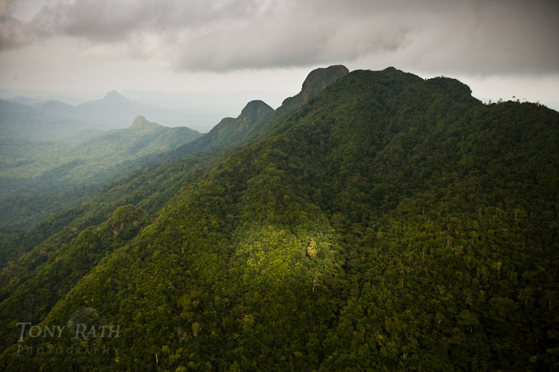 Cockscomb Range The Cockscomb Range, Belize Belize,Dangriga