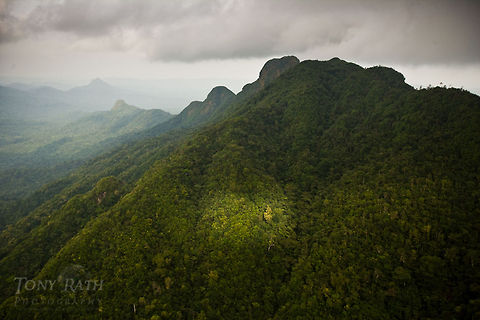 Cockscomb Range The Cockscomb Range, Belize Belize,Dangriga