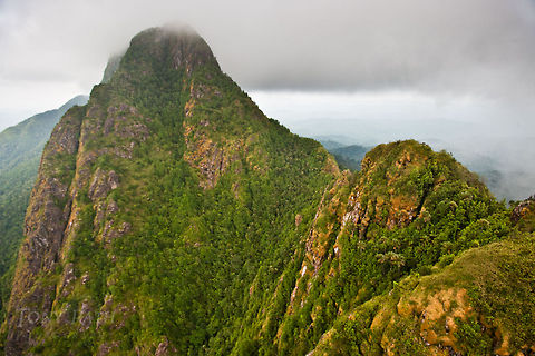 Victoria Peak Victoria Peak, Cockscomb Range, Belize Belize,Dangriga,Mountains