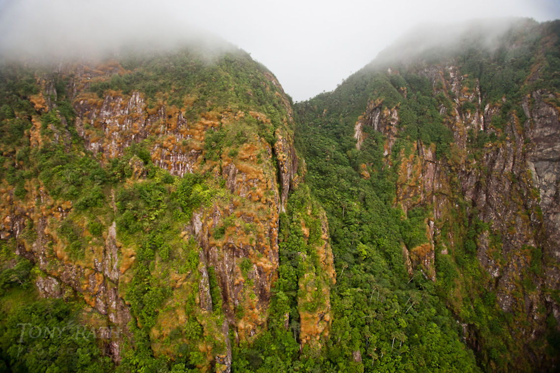 Victoria Peak Victoria Peak, Cockscomb Range, Belize Belize,Dangriga,Landscapes,Mountains