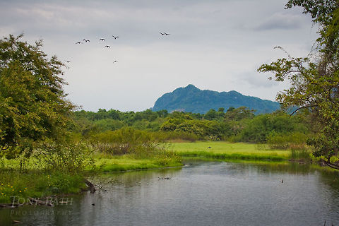 The National Park of Agua Caliente Lagoon The National Park of Agua Caliente Lagoon at Laguna Village, Toledo District, Belize Belize,Blue Creek Village,Cultural Day,Dangriga,Landscapes,Maya,Toledo district,Tumul Kin,lagoon