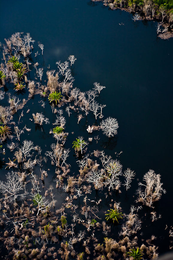 Chalillo Dam Resevoir, Belize Aerial of Chalillo Dam and resevior and dead vegetation along banks of flooded area, Belize Belize,Chalillo,Damage to Cecilia,Dangriga,aerial,construction,electricity,environmental damage,generator,hydroelectric