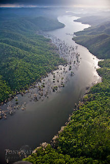 Chalillo Dam Resevoir, Belize Aerial of Chalillo Dam and resevior and dead vegetation along banks of flooded area, Belize Belize,Chalillo,Damage to Cecilia,Dangriga,aerial,construction,electricity,environmental damage,generator,hydroelectric