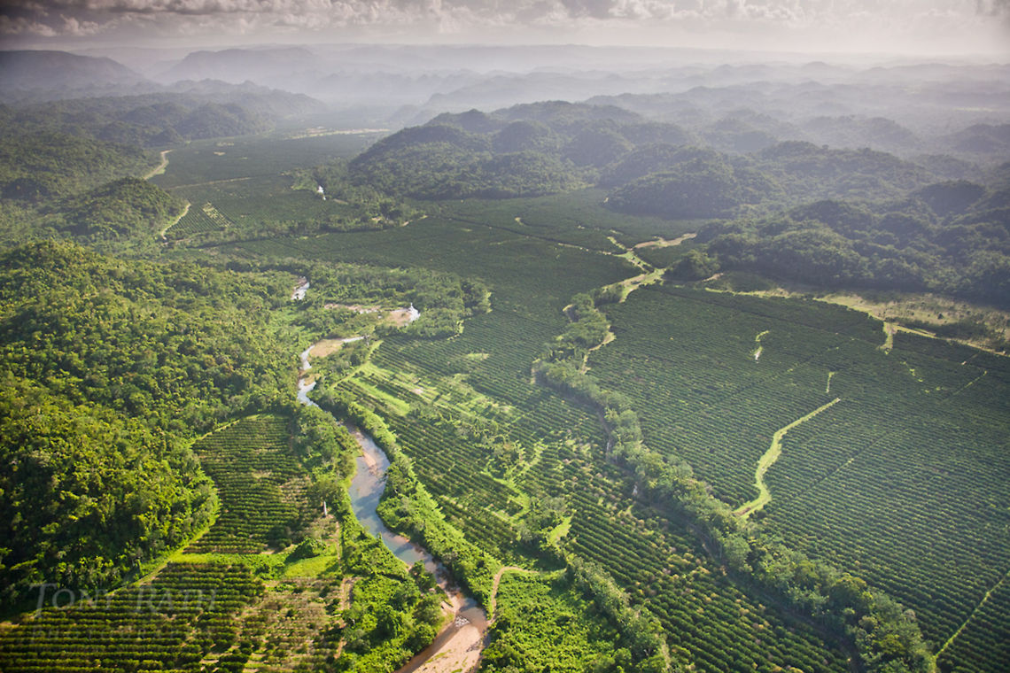 Cave's Branch River, Belize Aerial of Cave&#039;s Branch River and farm land,Belize Belize,Caves Branch River,Dangriga,Geotagged,aerial,farm land