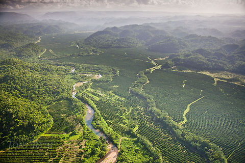 Cave's Branch River, Belize Aerial of Cave's Branch River and farm land,Belize Belize,Caves Branch River,Dangriga,Geotagged,aerial,farm land