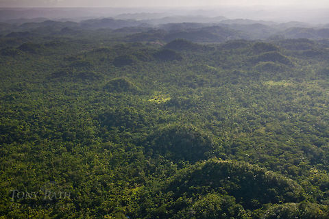 Karst Hills, Belize Aerial of karst hills,Belize Belize,Dangriga,aerial,jungle,karst