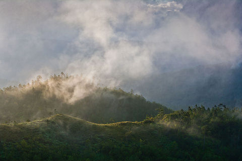 Baldy Beacon region of the Mountain Pine Ridge, Belize  Baldy Beacon,Belize,MPR,Mountain Pine Ridge