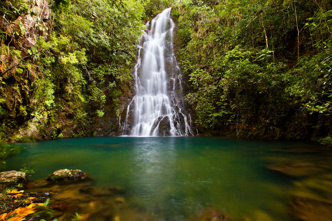 Waterfall in the Mountain Pine Ridge, Belize  Belize,MPR,Mountain Pine Ridge