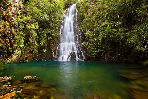 Waterfall in the Mountain Pine Ridge, Belize  Belize,MPR,Mountain Pine Ridge