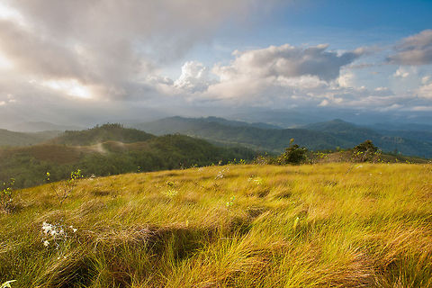 Baldy Beacon region of the Mountain Pine Ridge, Belize  Baldy Beacon,Belize,MPR,Mountain Pine Ridge