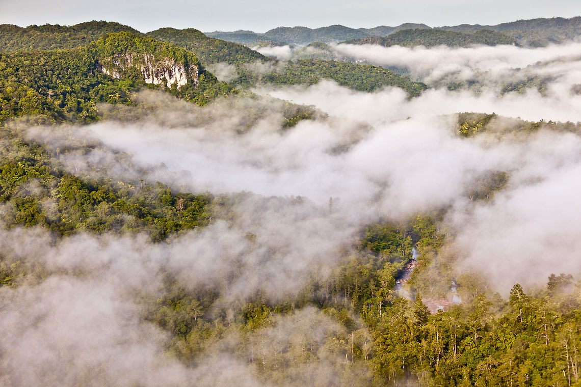 Valley in the Maya Mountains, Belize  Belize,Geotagged,Guatemala,MPR,Mountain Pine Ridge