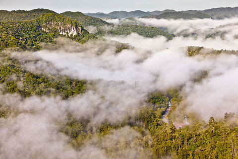 Valley in the Maya Mountains, Belize  Belize,Geotagged,Guatemala,MPR,Mountain Pine Ridge