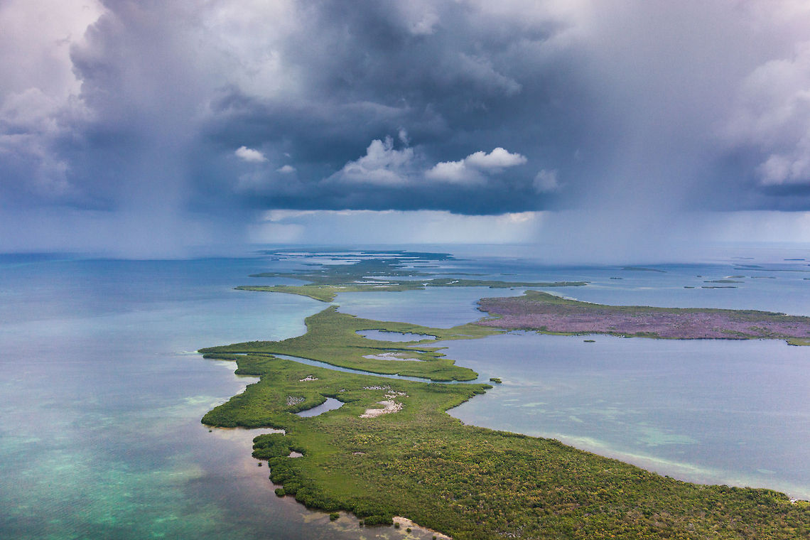 Isolated showers over Turneffe Island Atoll, Belize  Belize,Geotagged,Lighthawk,Oceanic Society,Turneffe Island Atoll,aerial,cetaceans,manatee,survey