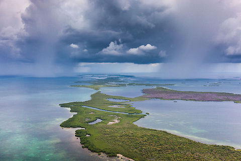 Isolated showers over Turneffe Island Atoll, Belize  Belize,Geotagged,Lighthawk,Oceanic Society,Turneffe Island Atoll,aerial,cetaceans,manatee,survey