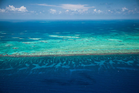 Spur and Grove habitat of the Belize Barrier Reef  Belize,Lighthawk,aerial,barrier reef,cetacean survey